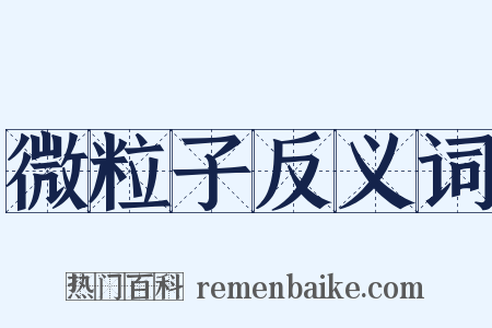 微粒子反义词是什么意思的图片